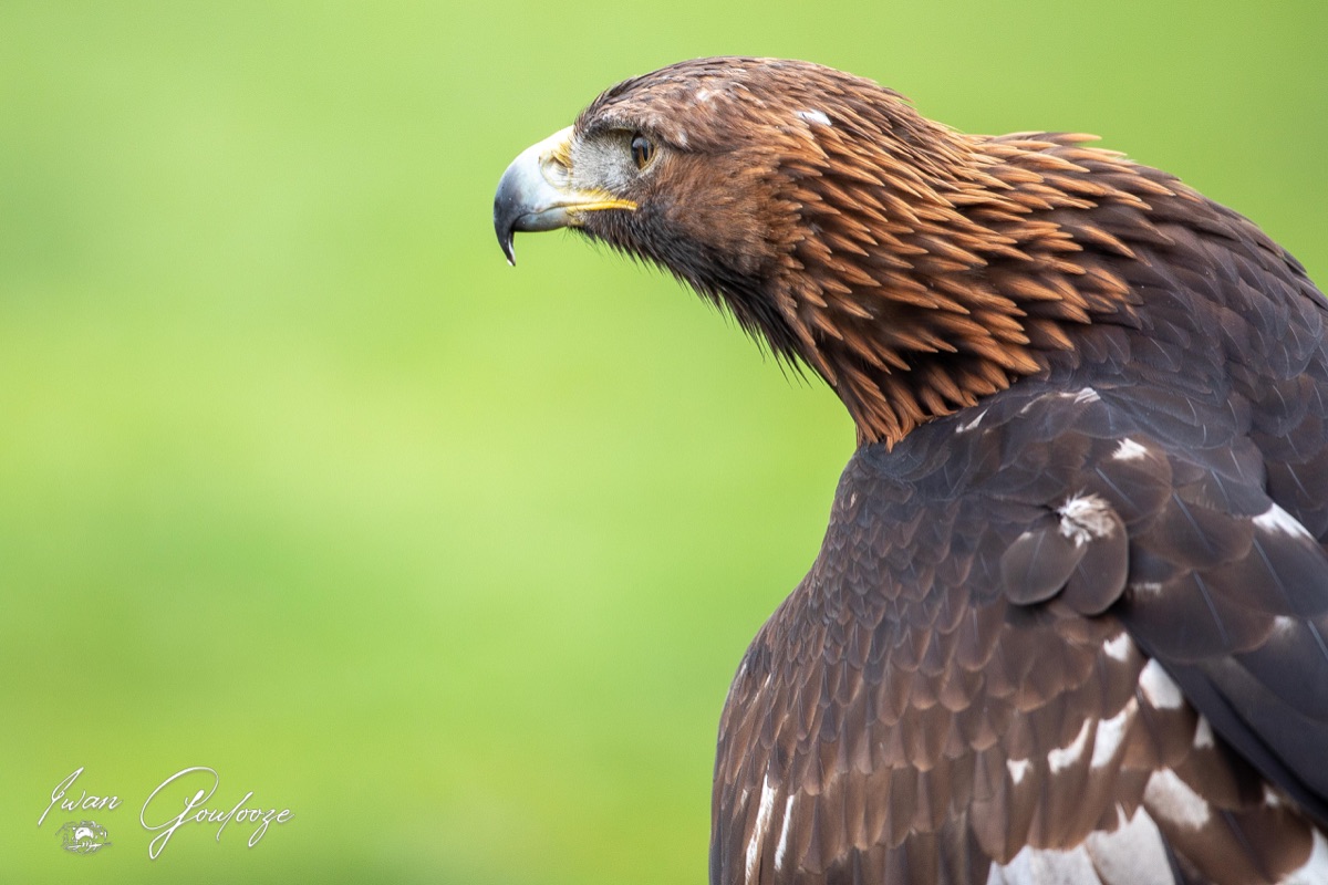  5D40248 28 november 2021 1129 13